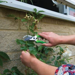 Silverline Secateurs 200mm 5 Silverline Secateurs 200mm -Silverline 229486 ENINSWNM1