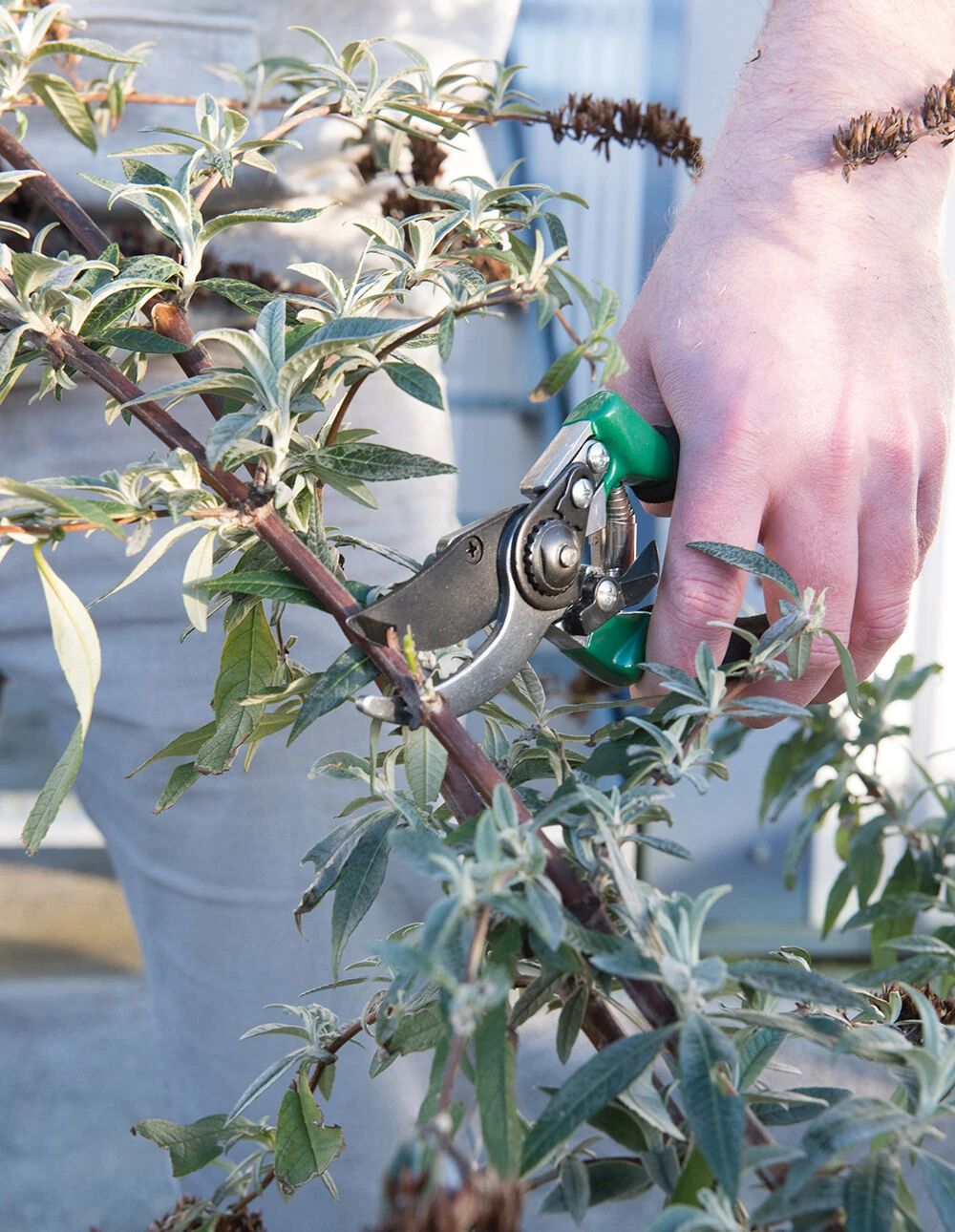 Silverline Secateurs 200mm 2 Silverline Secateurs 200mm - Image 2