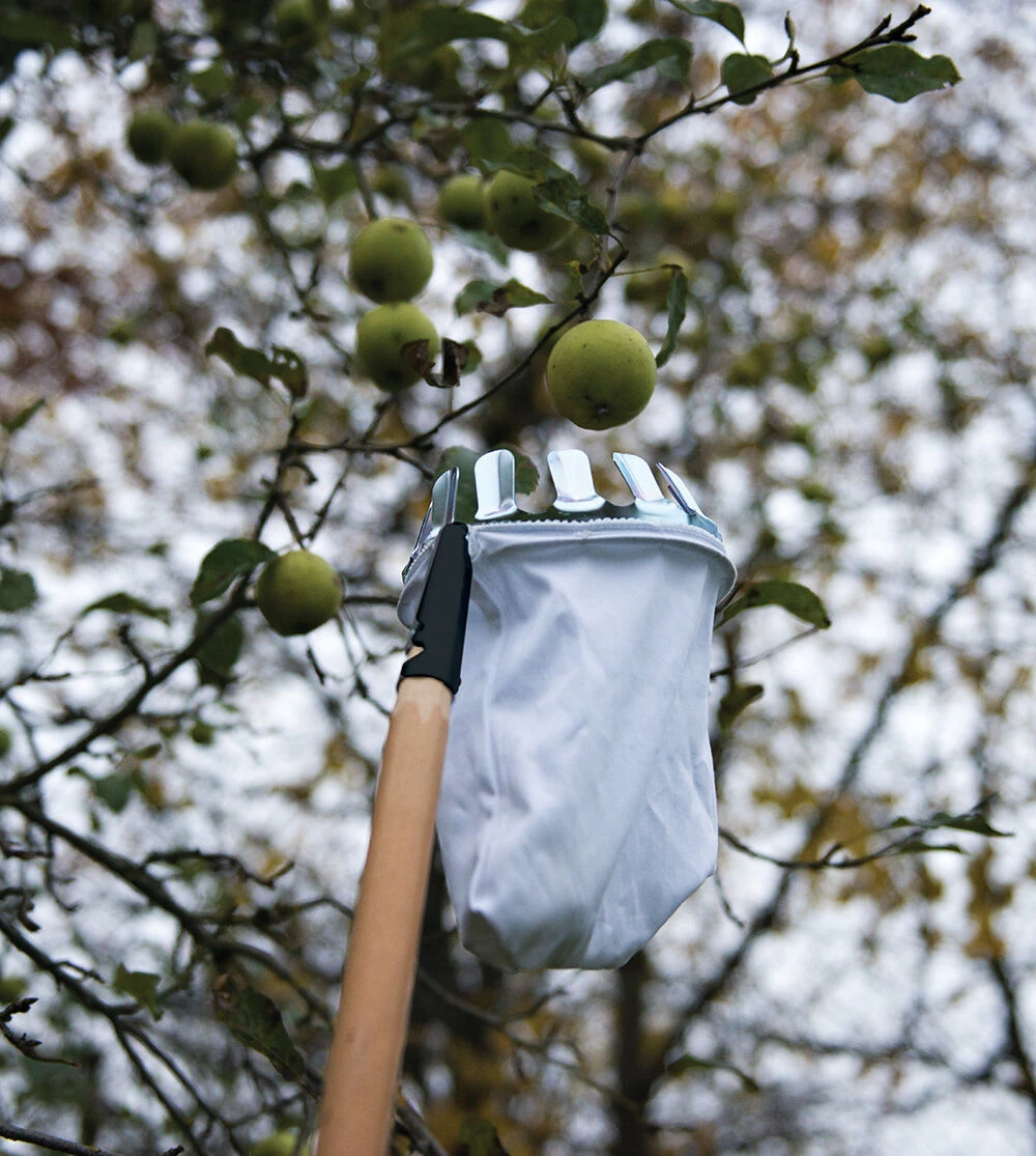 Silverline Fruit Picker 158mm Dia 2 Silverline Fruit Picker 158mm Dia - Image 2