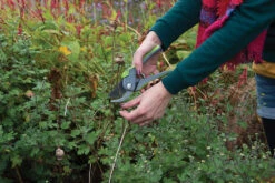 Silverline Bypass Secateurs 200mm 9 Silverline Bypass Secateurs 200mm -Silverline 245027 ENINSWNM1