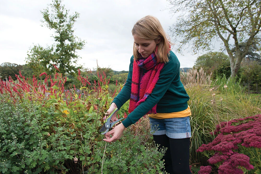 Silverline Bypass Secateurs 200mm 2 Silverline Bypass Secateurs 200mm - Image 2