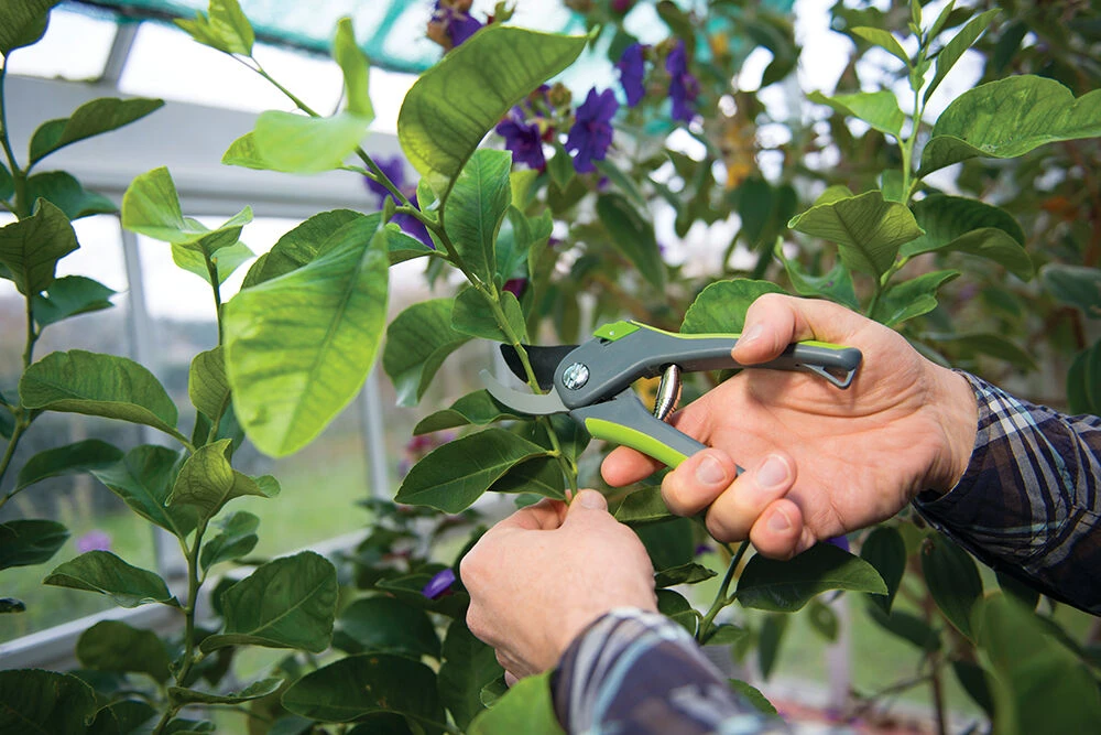 Silverline Bypass Secateurs 200mm 3 Silverline Bypass Secateurs 200mm - Image 3