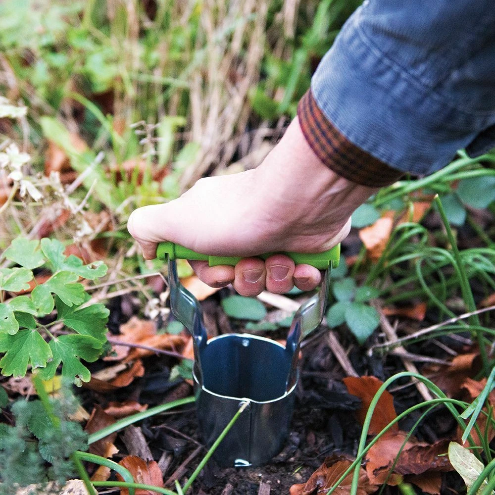 Silverline Bulb Planter 3 Silverline Bulb Planter - Image 3